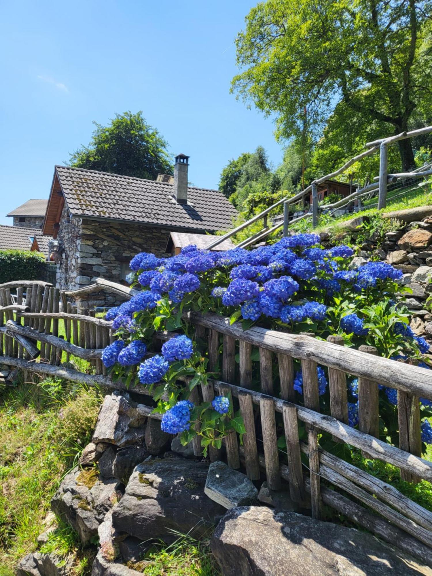 Casa Poiana Vila Ronco sopra Ascona Exterior foto